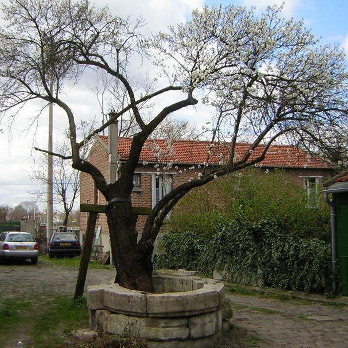 Photo de Hôtel particulier