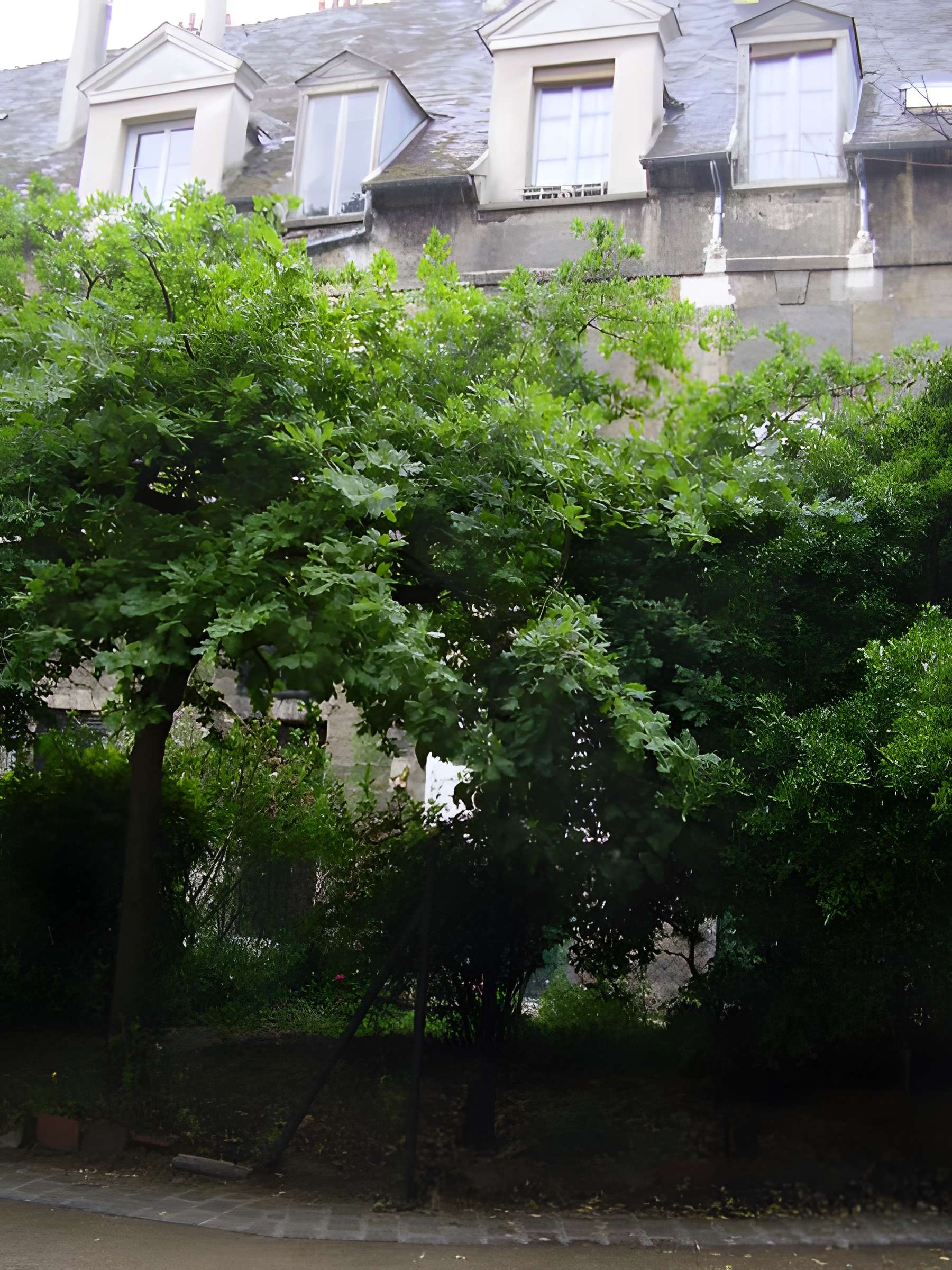 Ancien couvent des Ursulines