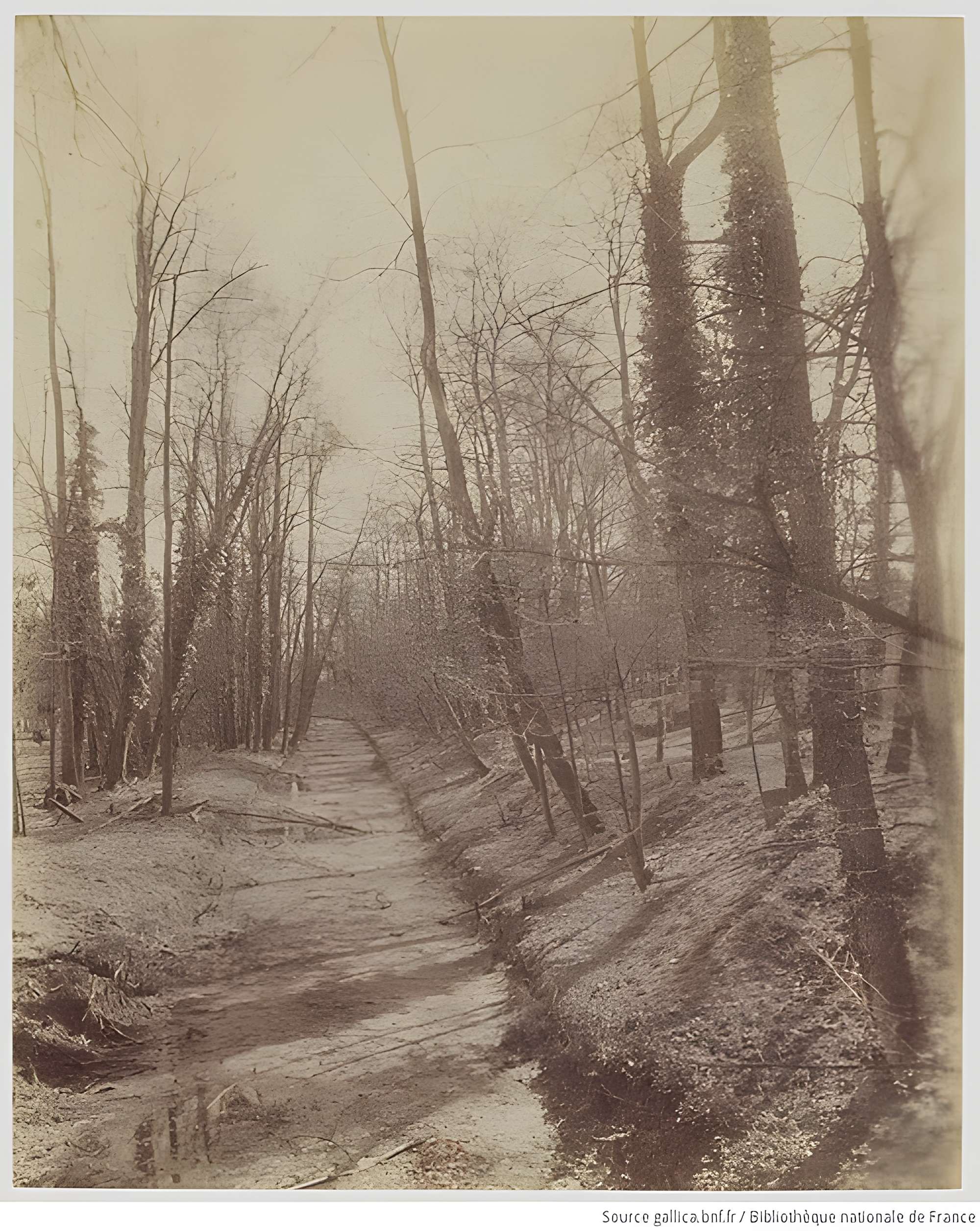 Maison Renaissance (ancien Fief des Arcs)