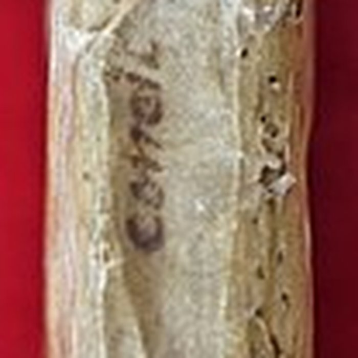 Photo de Prieuré de Flavigny-sur-Moselle