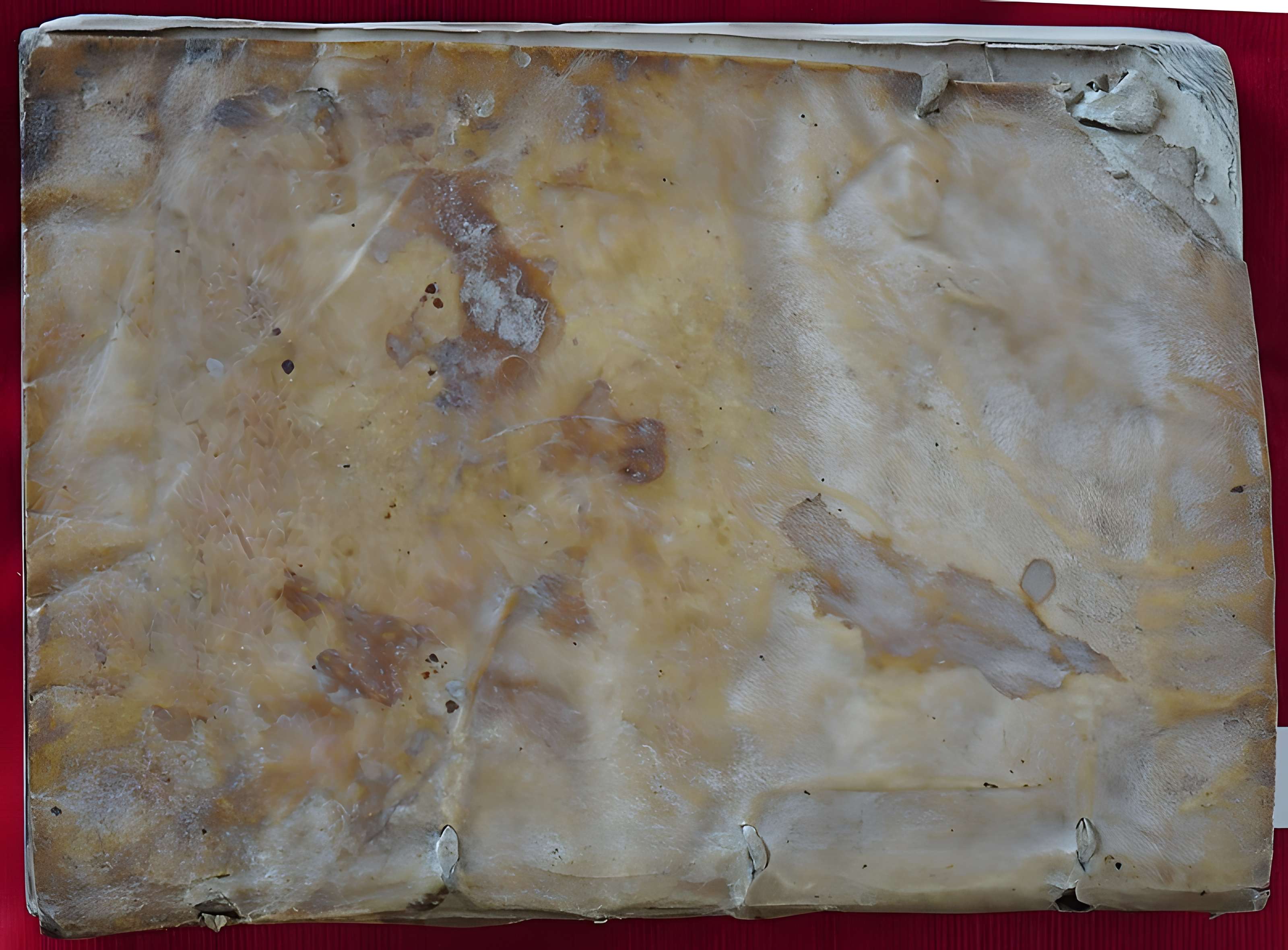 Prieuré de Flavigny-sur-Moselle