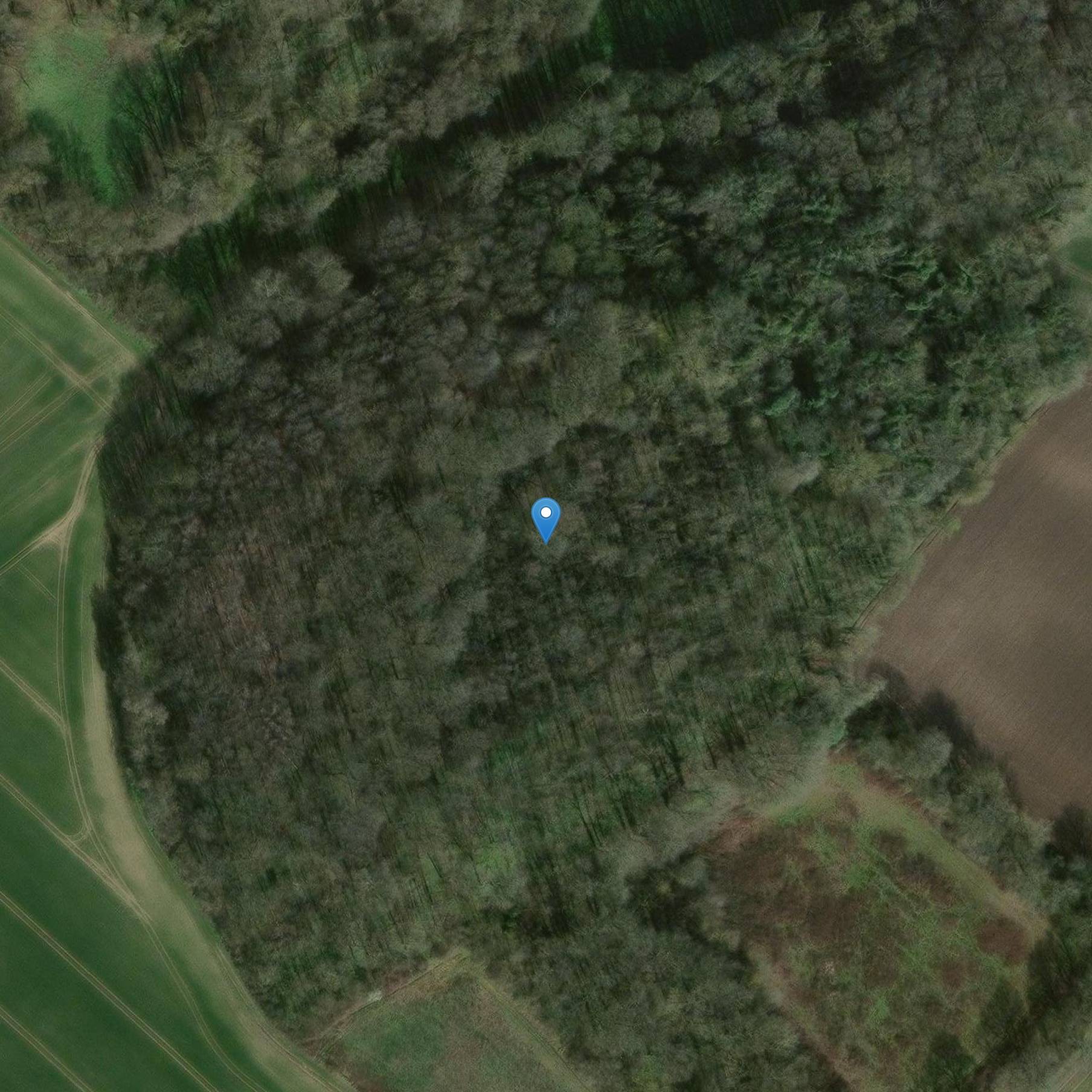 Photo de ガロ・ロマン