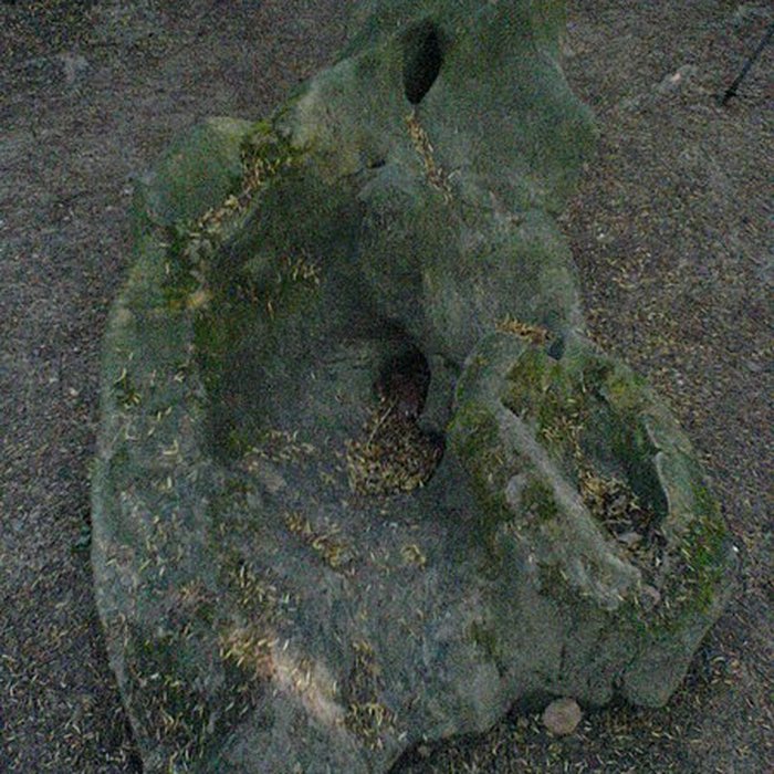 Photo de Cimetière de Bosc