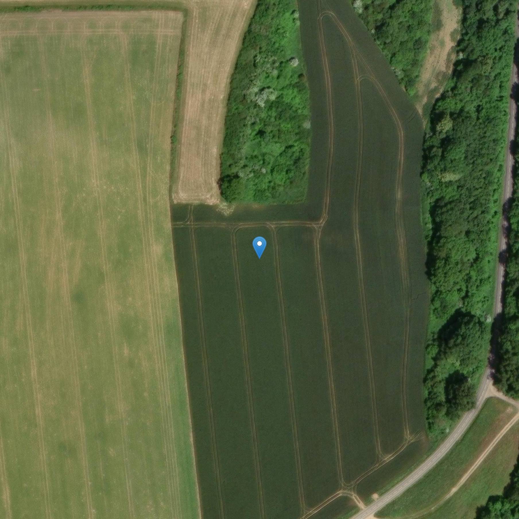 Photo de Vestigios galo-romanos