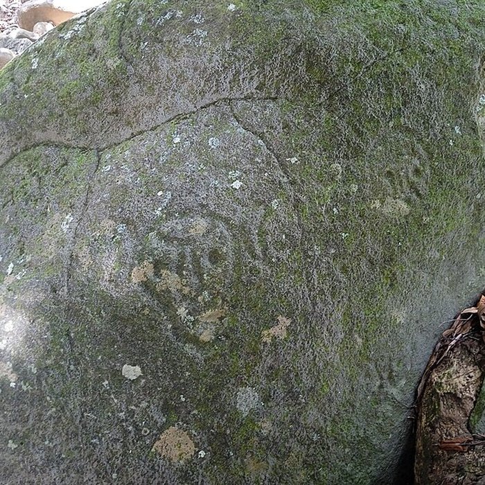 Photo de Site des roches gravées de la rivière Du Plessis