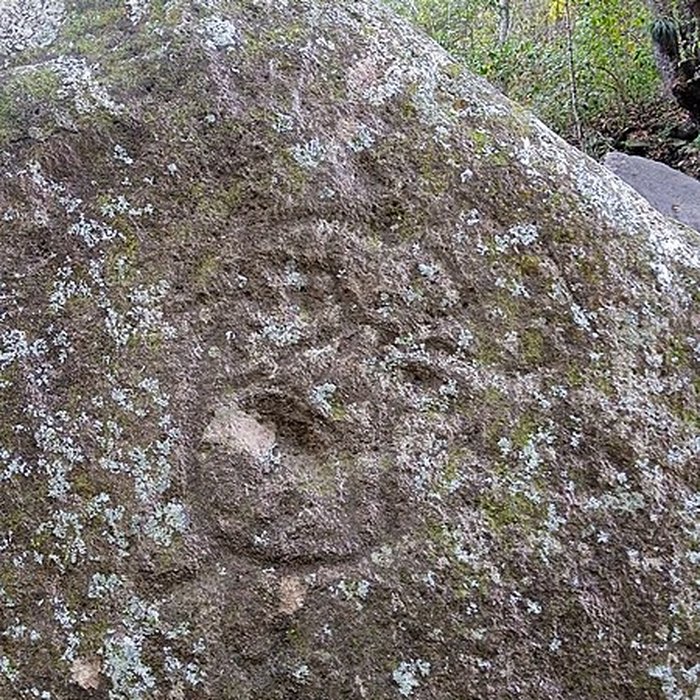 Photo de Site des roches gravées de la rivière Du Plessis