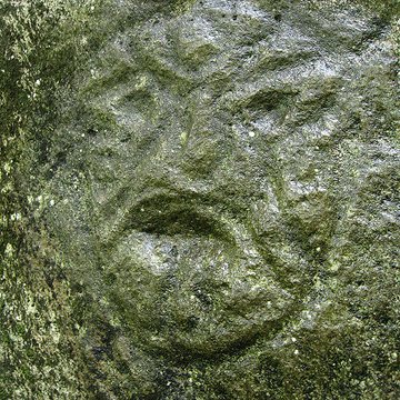 Site des roches gravées de la rivière Du Plessis