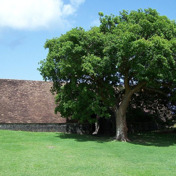 Photo de Fort Saint-Charles, Fort Richepance ou Fort Delgrès, puis laboratoire de vulcanologie