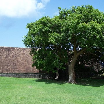 Fort Saint-Charles, Fort Richepance ou Fort Delgrès, puis laboratoire de vulcanologie