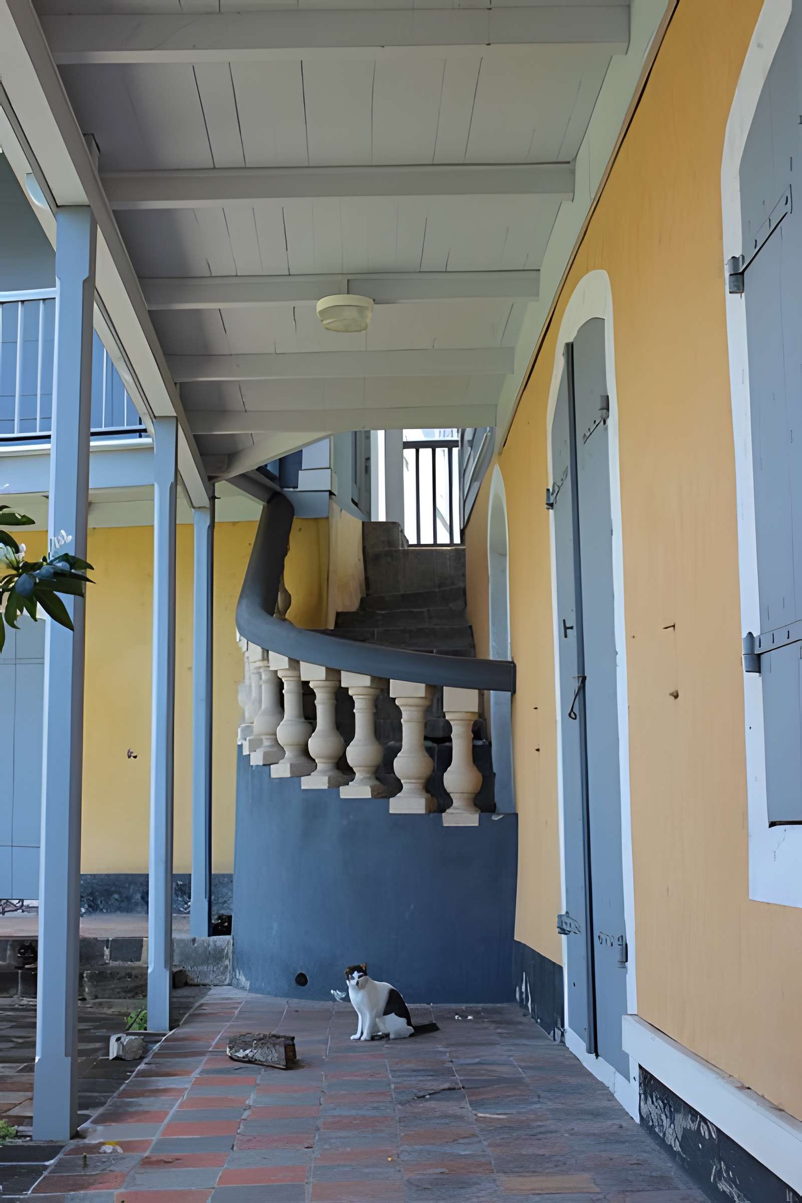 Maison Coquille ou maison Turlet