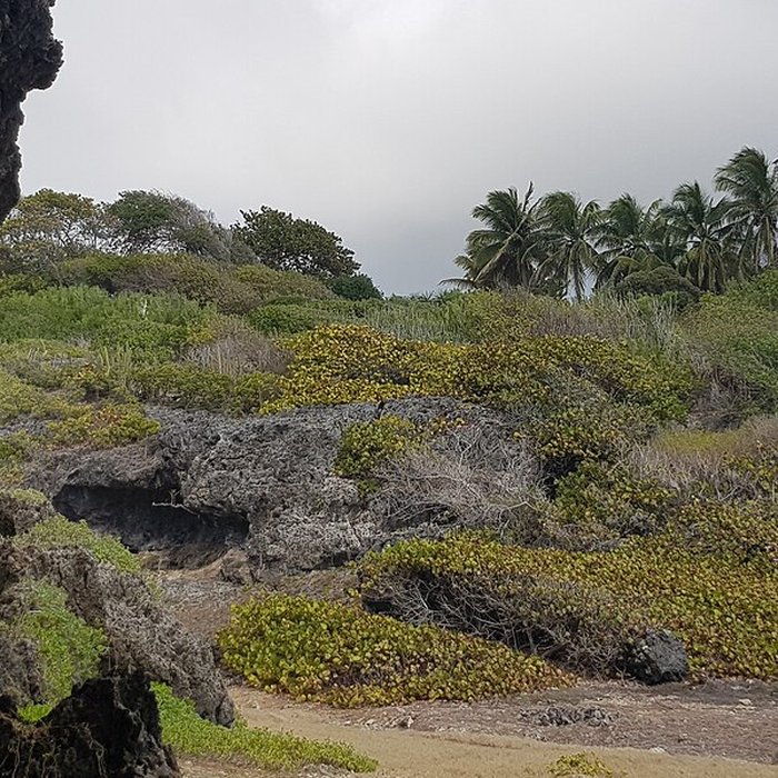 Photo de Grotte ornée dite Morne-Rita