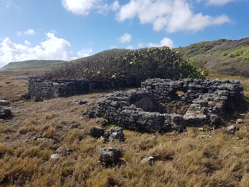 Photo de Indigoterie de  Morne-à-Boeuf