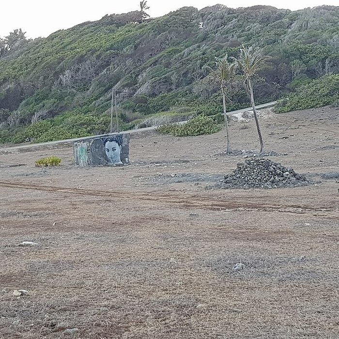 Photo de Indigoterie de Grand Fond