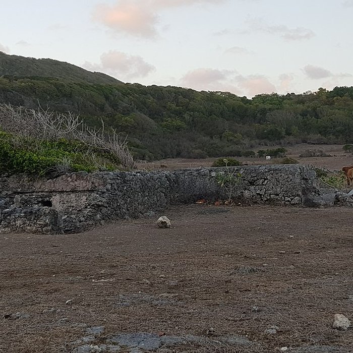 Photo de Indigoterie de Grand Fond