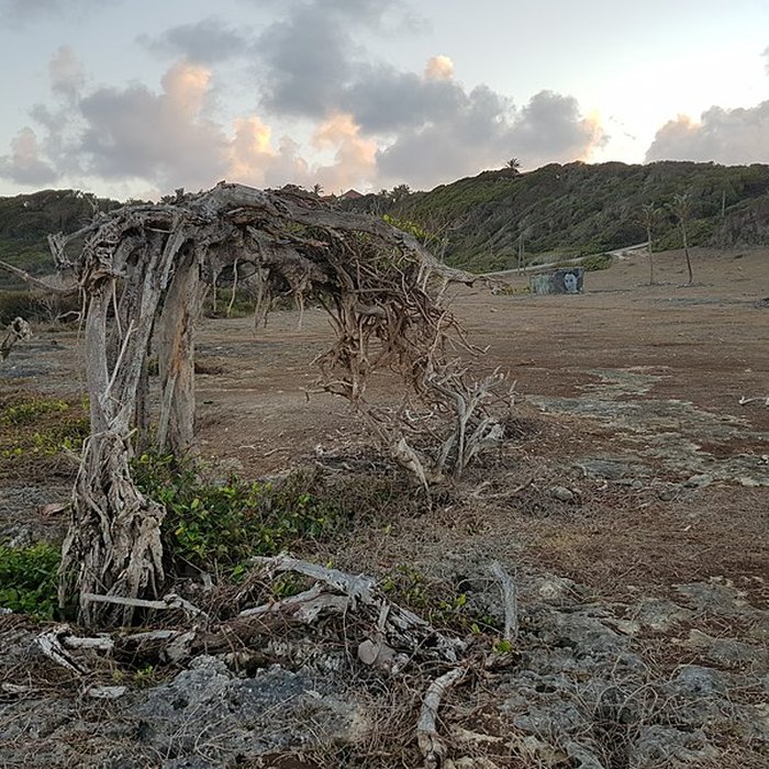 Photo de Indigoterie de Grand Fond