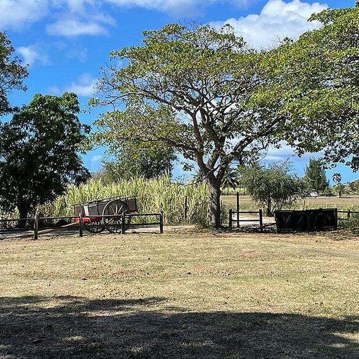 Photo de Sucrerie Trianon