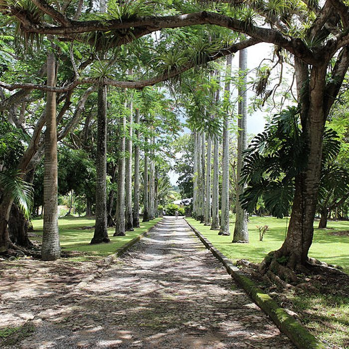 Photo de Habitation Routa