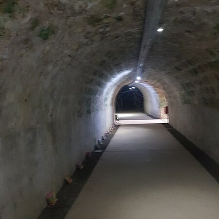 Photo de Fort Fleur-dEpée