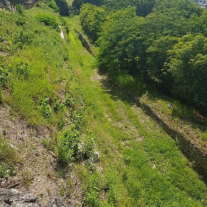 Photo de Fort Fleur-dEpée