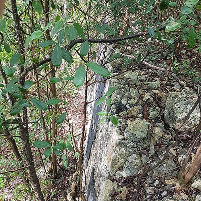 Photo de Fort lUnion