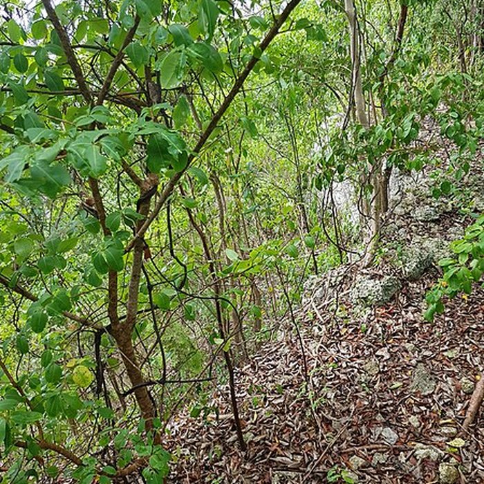 Photo de Fort lUnion