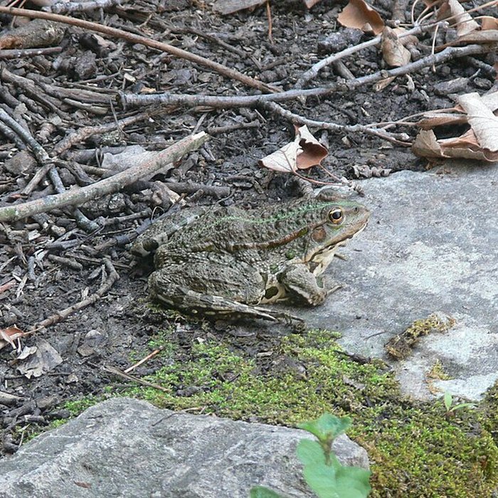 Photo de Prieuré du Val des Nymphes