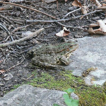 Prieuré du Val des Nymphes