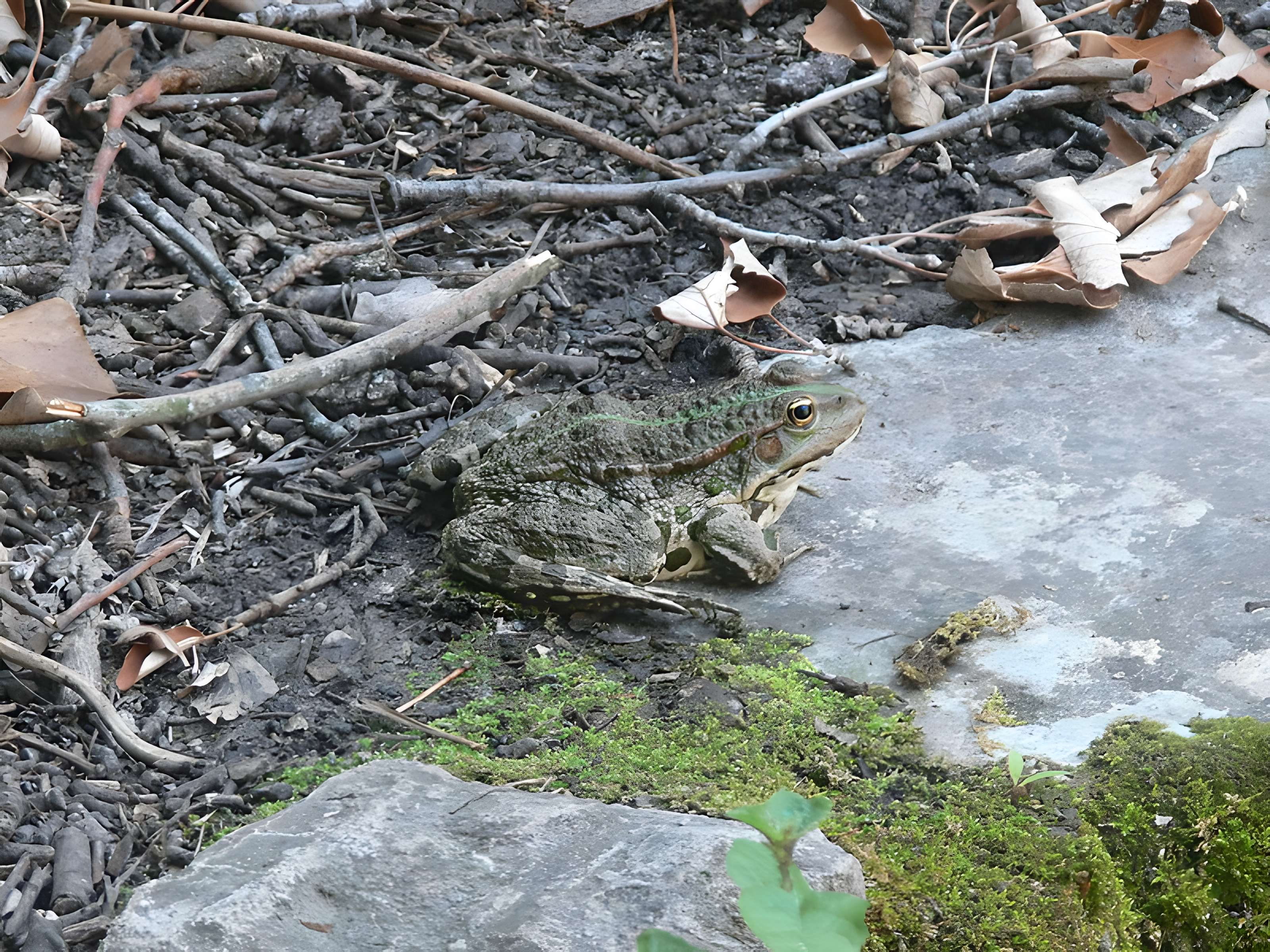Prieuré du Val des Nymphes