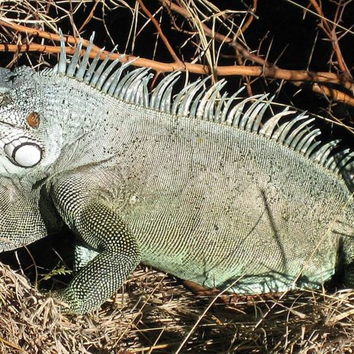 Photo de Fort Napoléon