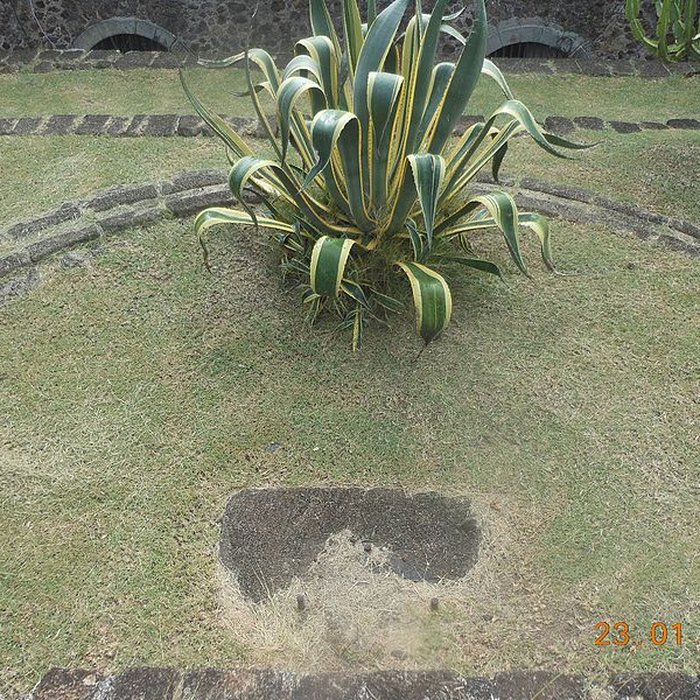 Photo de Fort Napoléon