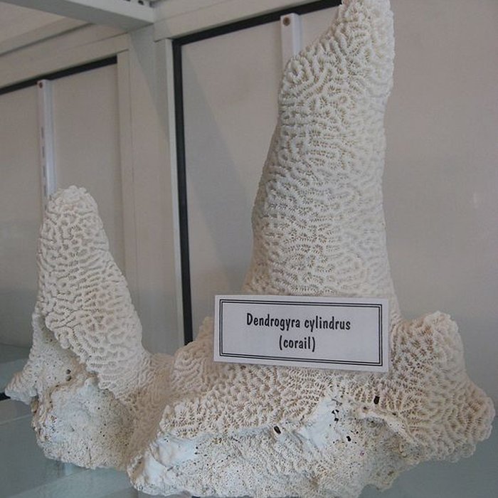 Photo de Fort Napoléon