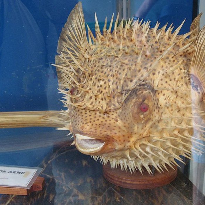 Photo de Fort Napoléon