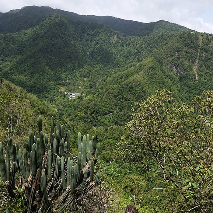 Photo de Habitation caféière La Grivelière