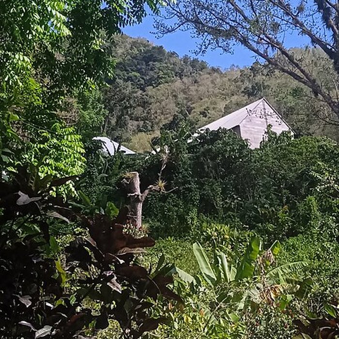 Photo de Habitation caféière La Grivelière