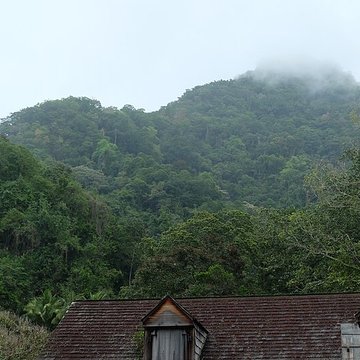 Habitation caféière La Grivelière
