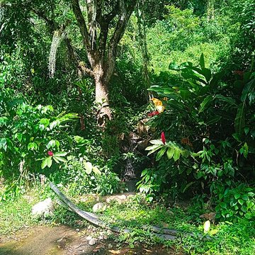 Habitation caféière La Grivelière