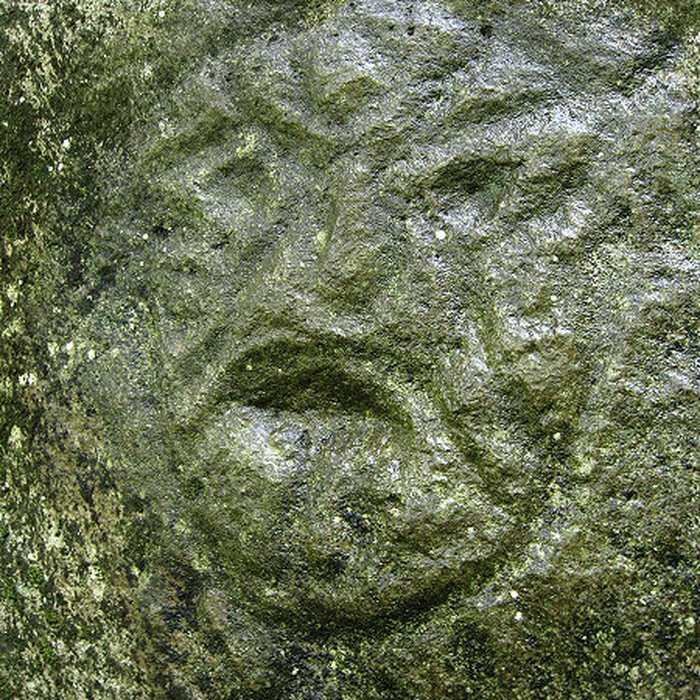 Photo de Site du Plessis 2