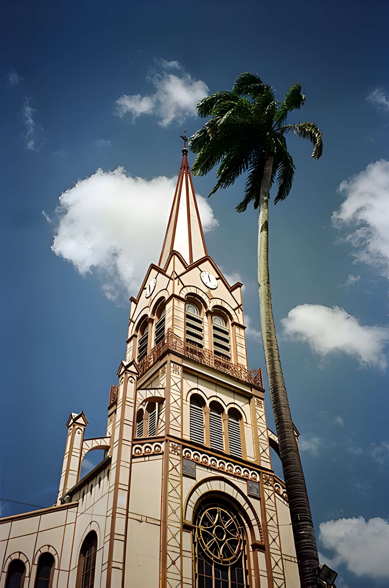 Cathédrale Saint-Louis