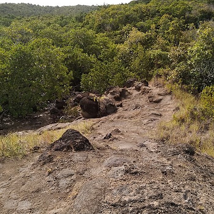 Photo de Habitation sucrière, dite Château-Dubuc, sur la presquîle de la Caravelle