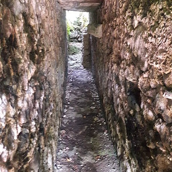 Photo de Habitation sucrière, dite Château-Dubuc, sur la presquîle de la Caravelle