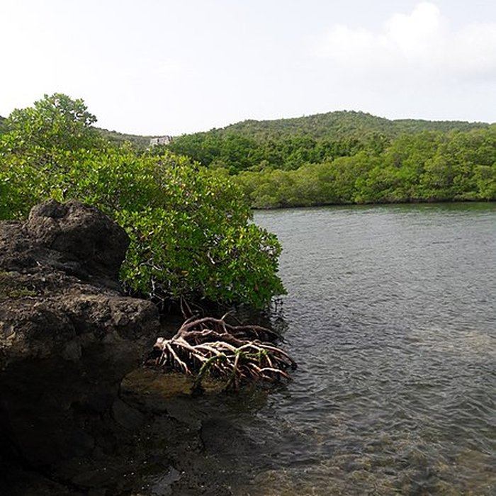 Photo de Habitation sucrière, dite Château-Dubuc, sur la presquîle de la Caravelle