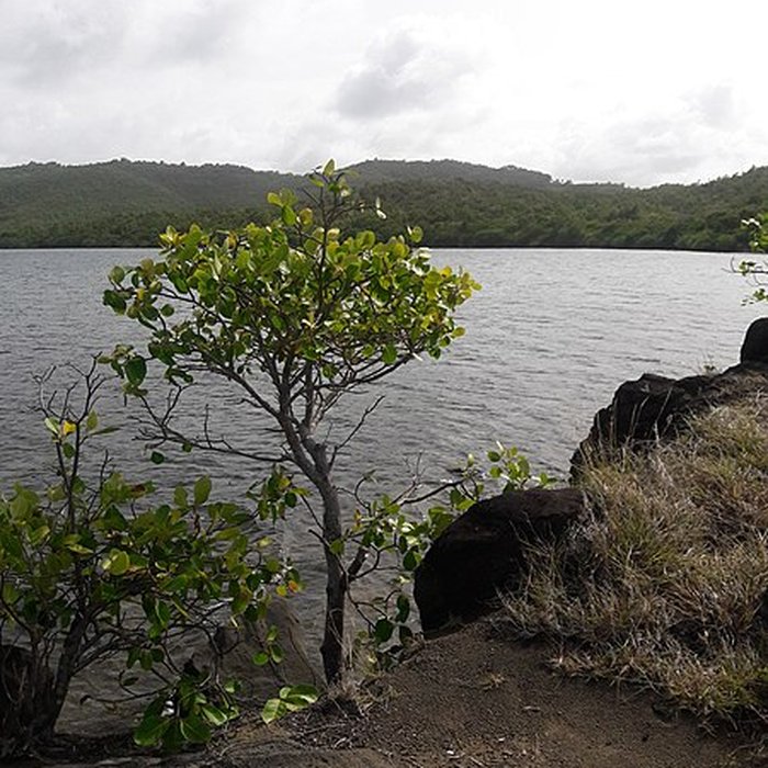 Photo de Habitation sucrière, dite Château-Dubuc, sur la presquîle de la Caravelle