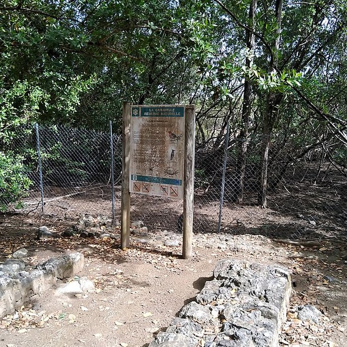 Photo de Habitation sucrière, dite Château-Dubuc, sur la presquîle de la Caravelle