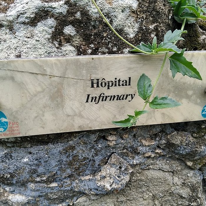 Photo de Habitation sucrière, dite Château-Dubuc, sur la presquîle de la Caravelle