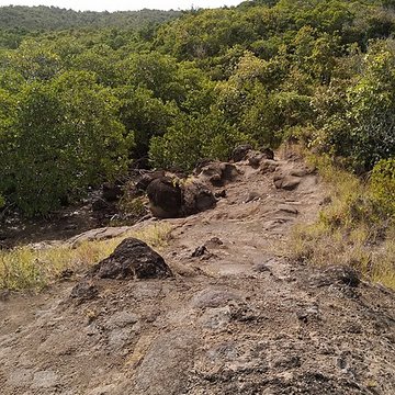 Habitation sucrière, dite Château-Dubuc, sur la presquîle de la Caravelle