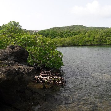 Habitation sucrière, dite Château-Dubuc, sur la presquîle de la Caravelle