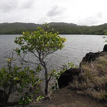 Habitation sucrière, dite Château-Dubuc, sur la presquîle de la Caravelle