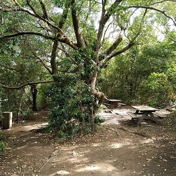 Habitation sucrière, dite Château-Dubuc, sur la presquîle de la Caravelle