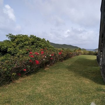 Habitation sucrière, dite Château-Dubuc, sur la presquîle de la Caravelle
