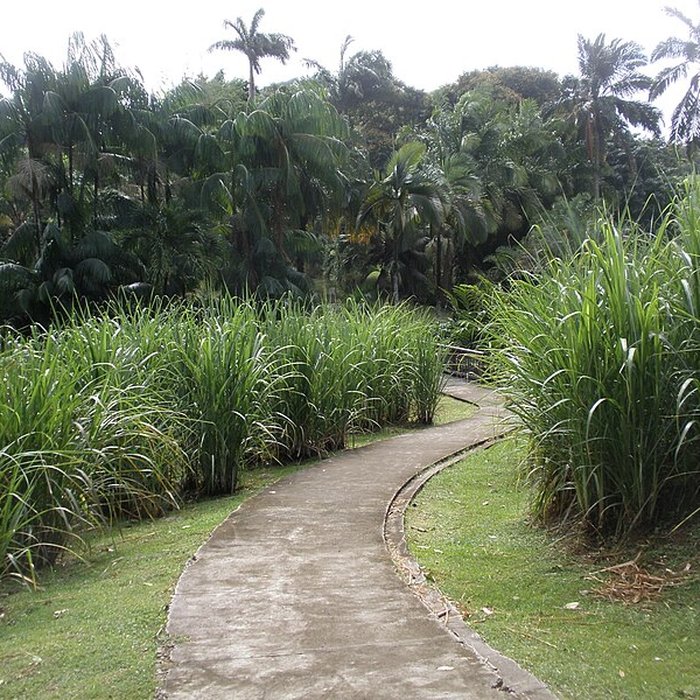 Photo de Habitation Clément ou Domaine de lAcajou